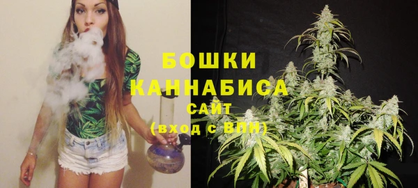 Альфа ПВП Аркадак