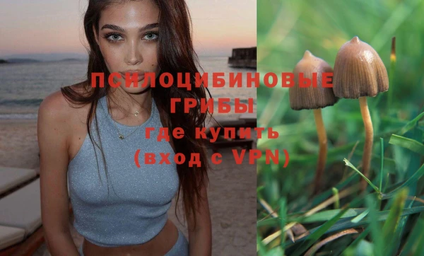 не бодяженный Армянск