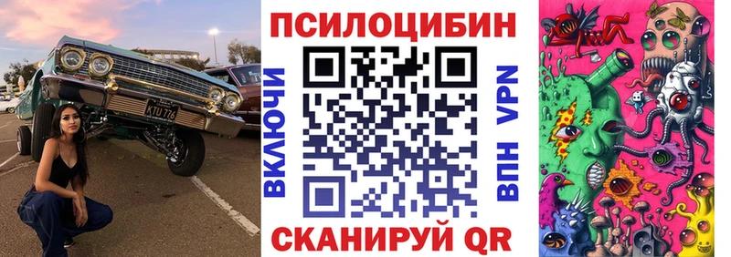 закладки Северобайкальск нарко площадка формула Псилоцибиновые грибы ЛСД